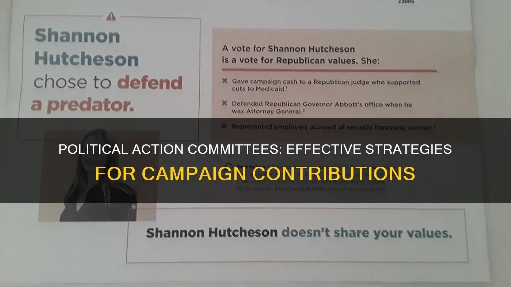 when contributing to congressional campaigns political action committees