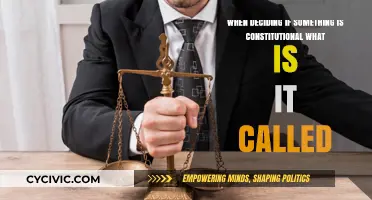 What's the Process of Deciding Constitutionality?