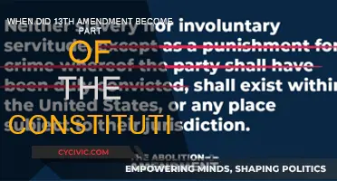 Amendment History: The 13th Amendment's Constitutional Past