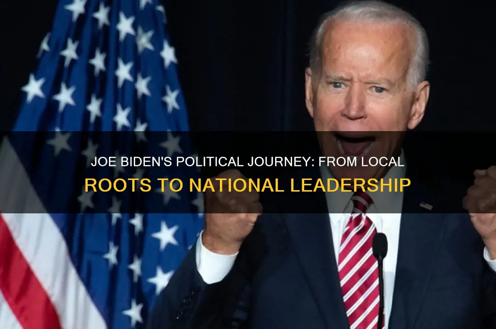 when did biden begin politics