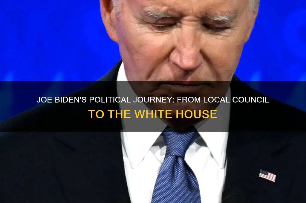 when did biden enter politics