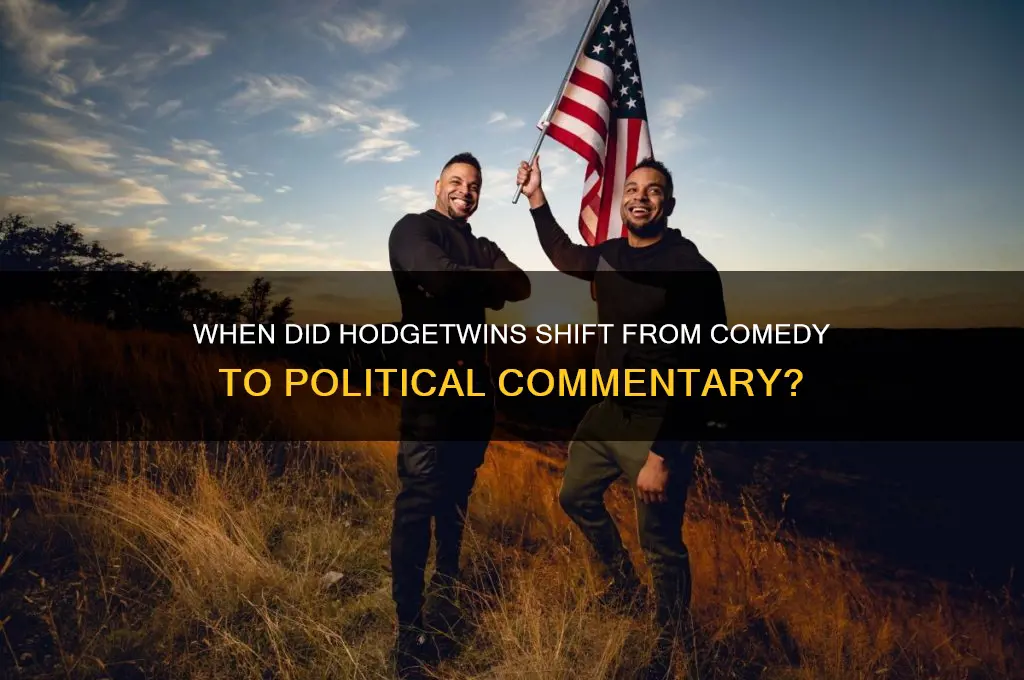 when did hodgetwins become political