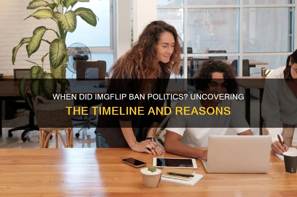 when did imgflip ban politics