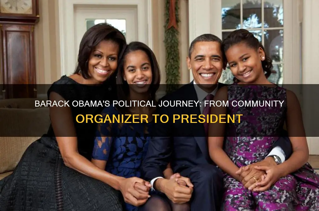 when did obama enter politics