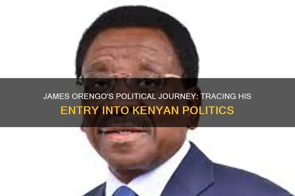 when did orengo start politics