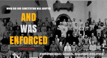 Constitution Adoption and Enforcement: A Historical Perspective