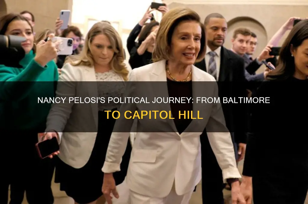 when did pelosi enter politics