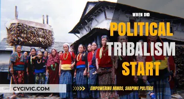 Tracing the Roots of Political Tribalism: A Historical Perspective