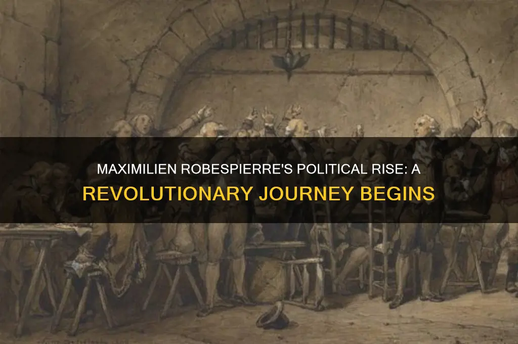 when did robespierre enter politics