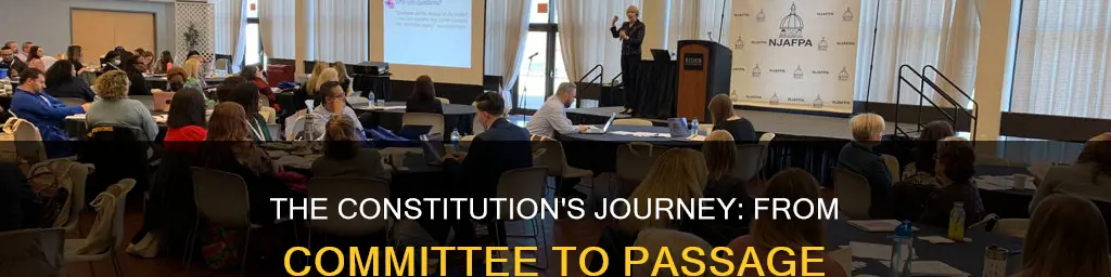 when did the constitution committee pass the constitution