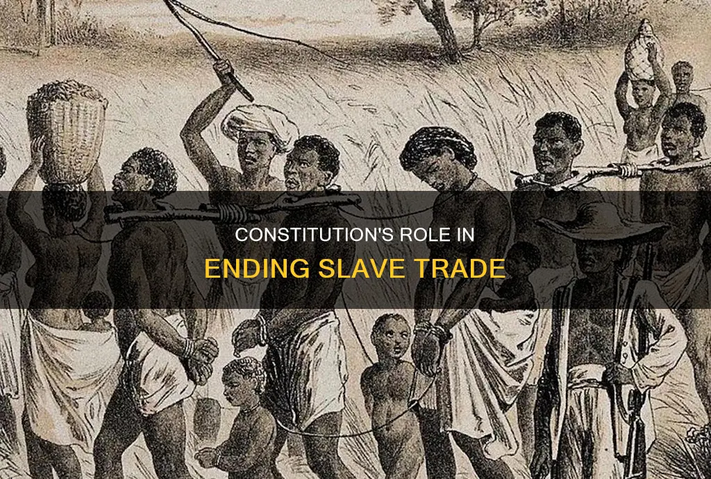when did the constitution end the slave trade