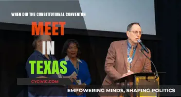 Texas' Constitutional Convention: When It All Began