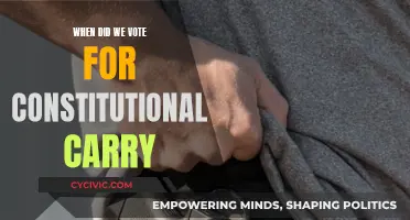 Constitutional Carry: Voting for the Right to Bear Arms