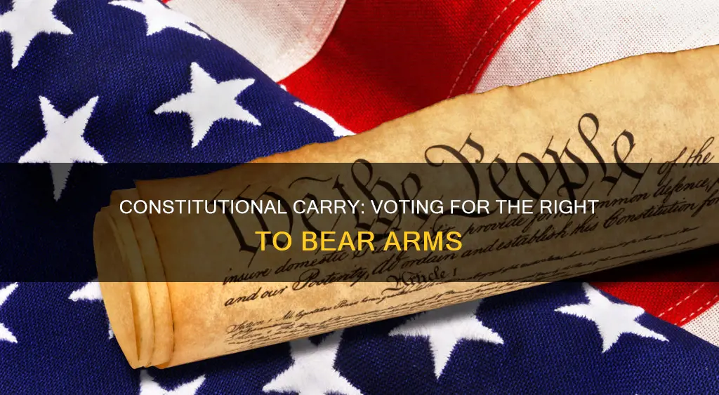 when did we vote for constitutional carry