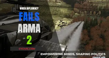 The Arma 2 Conundrum: When Diplomacy Fails, What's Next?