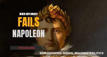 Napoleon's Diplomatic Failures: Lessons from History