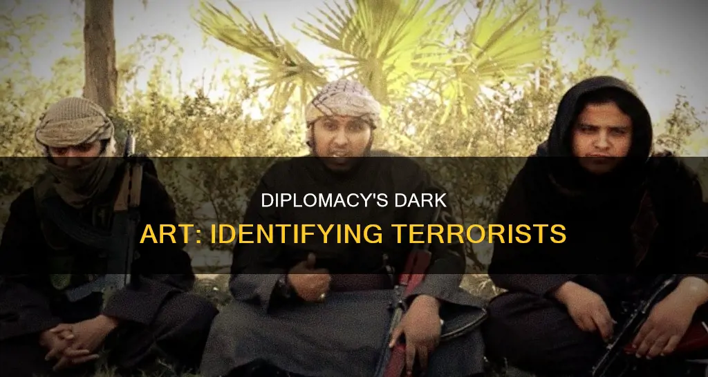 when diplomacy identifies terrorists