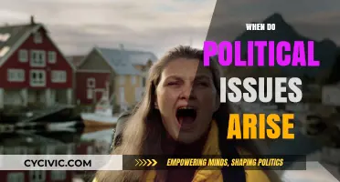 Understanding the Catalysts: When and Why Political Issues Surface