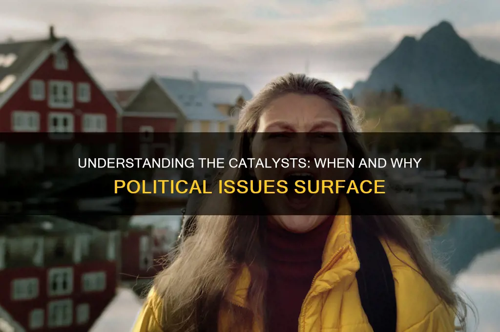 when do political issues arise