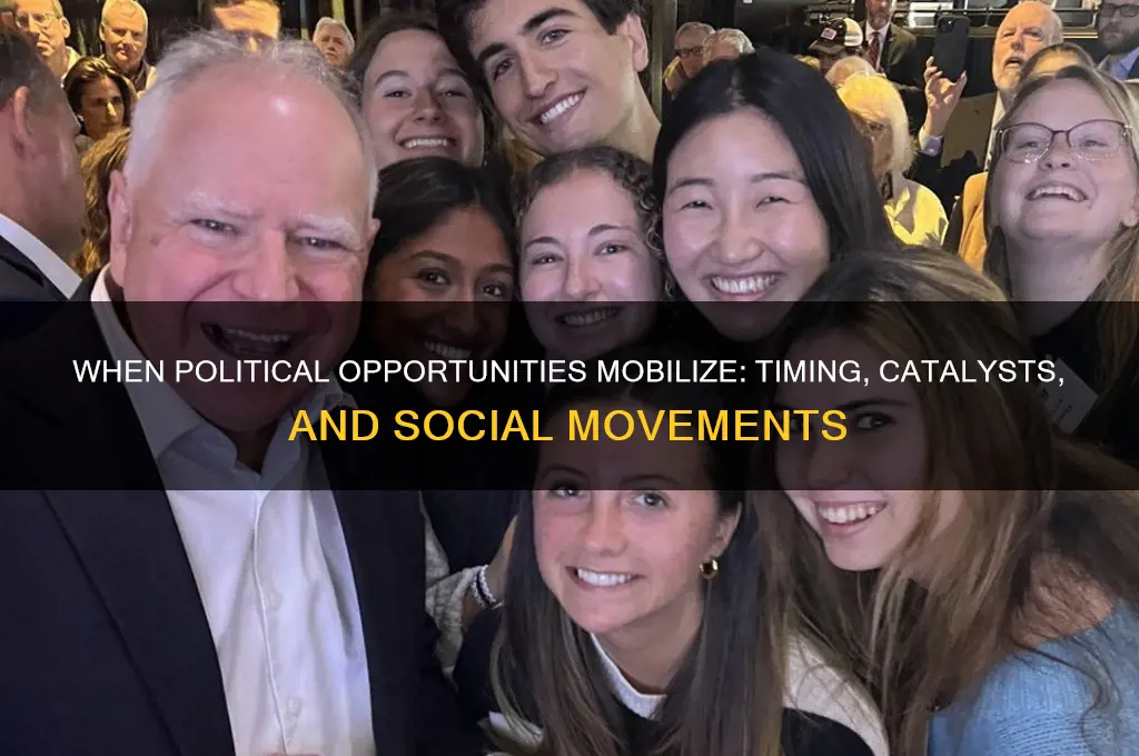 when do political opporunities mobilize