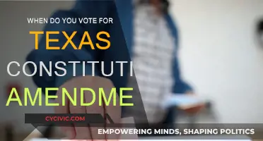 Texas Constitution Amendments: When to Vote