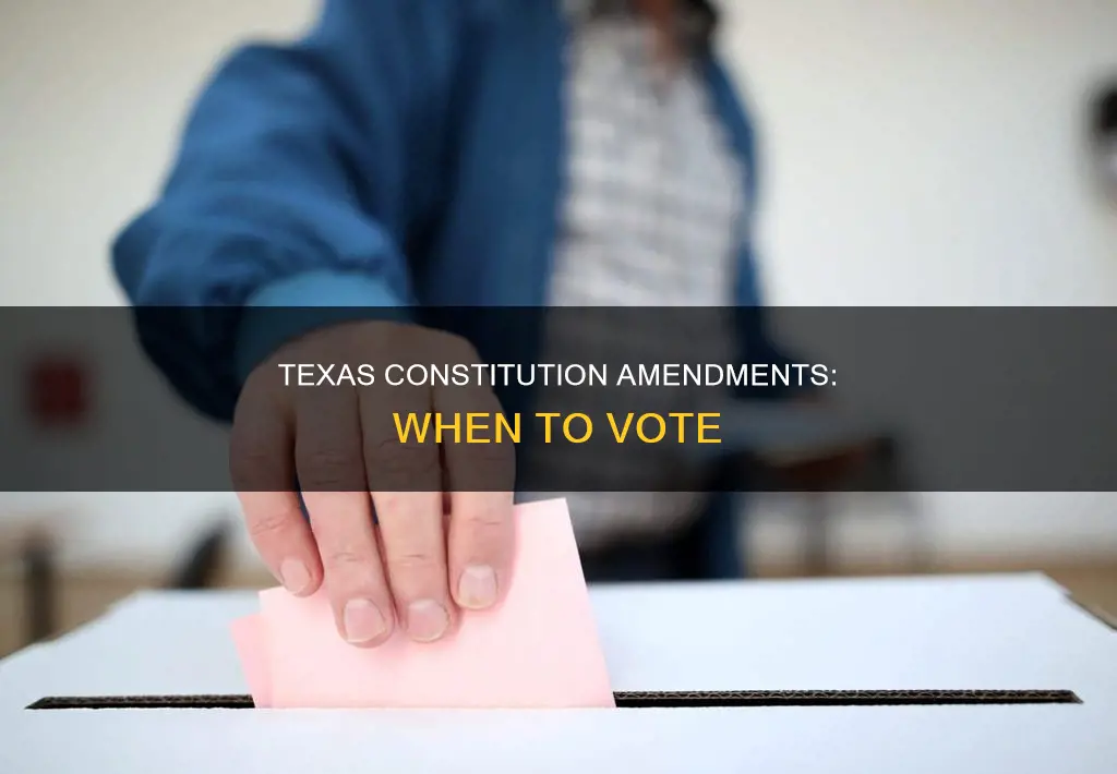 when do you vote for texas constitution amendment