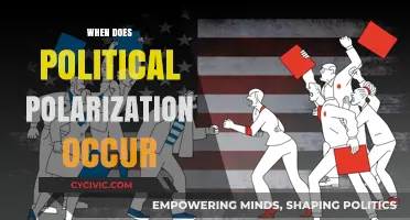 Understanding the Roots and Triggers of Political Polarization