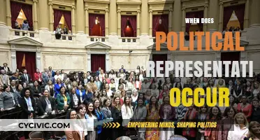 Understanding Political Representation: When and How It Truly Occurs