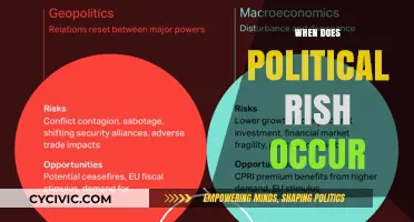 Understanding Political Risk: Triggers, Timing, and Global Implications