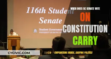 SC Senate's Constitutional Carry Vote: When and Why?