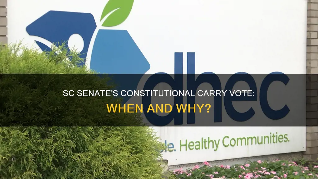 when does sc senate vote on constitutional carry