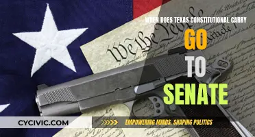 Texas Constitutional Carry: Senate Vote Date?