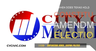 Texas' Constitutional Amendment Elections: When and Why?