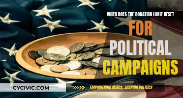 Donation Limits for Political Campaigns: Reset and Impact