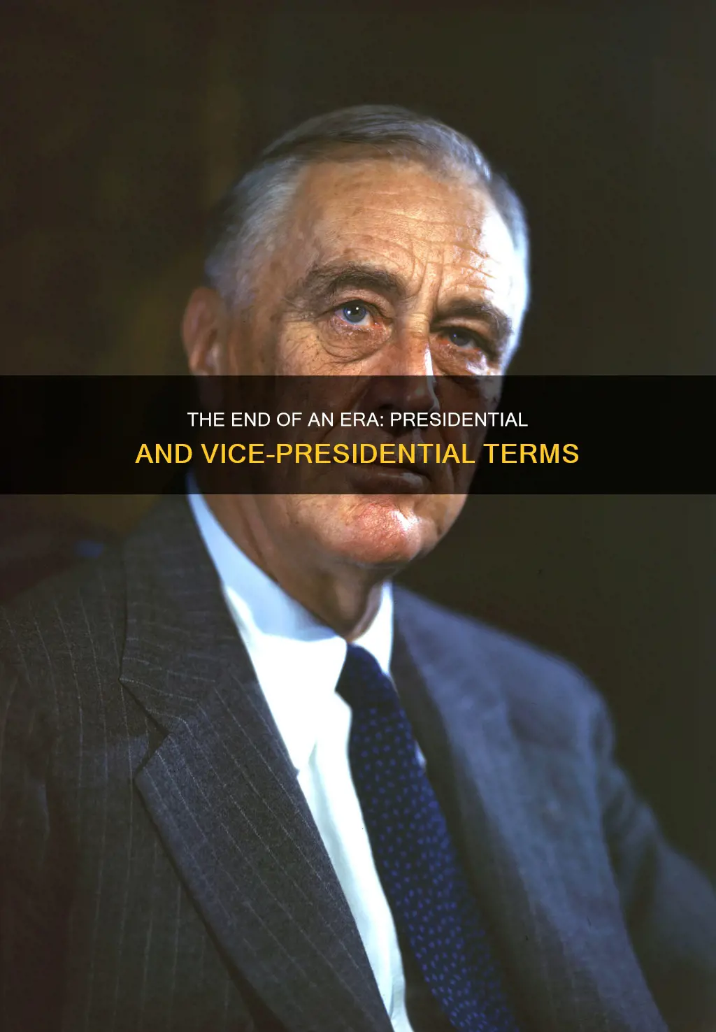 when does the pres and vice pres terms end