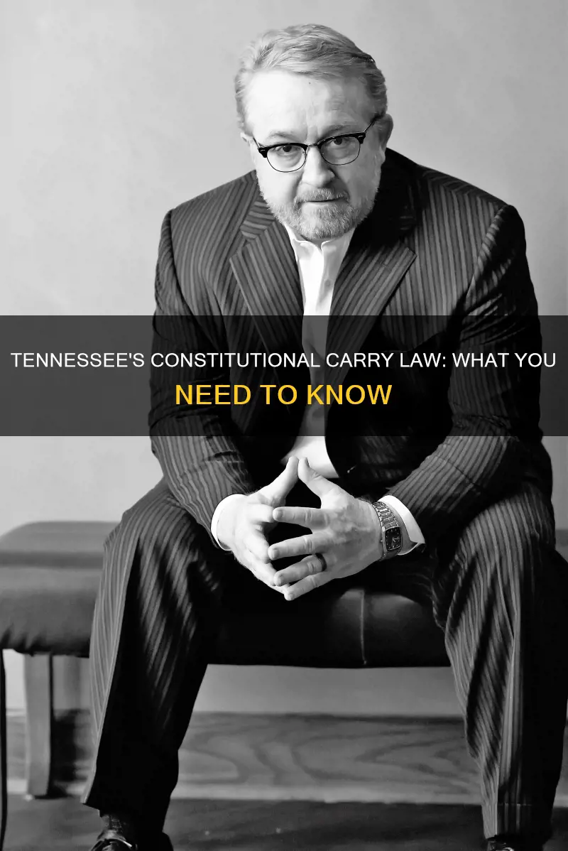 when does tn constitutional carry
