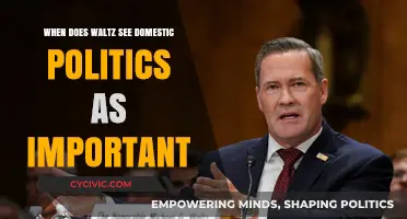 Waltz's Viewpoint: Domestic Politics Matter in International Relations