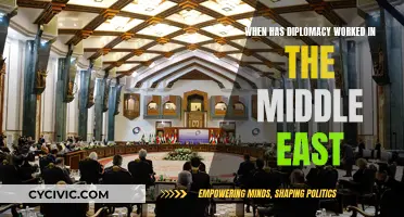 Diplomacy's Success Stories in the Middle East: A Complex History