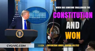 Challenging the Constitution: Victories and Their Impact