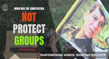 Constitution's Failure to Protect: A Historical Perspective