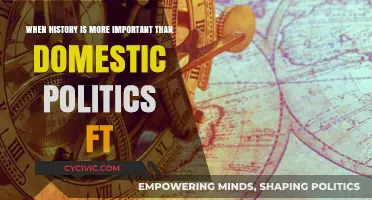 When History Overshadows Domestic Politics: A Comparative Analysis