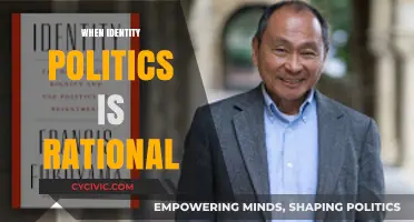 Identity Politics: When Group Allegiance Becomes a Rational Strategy