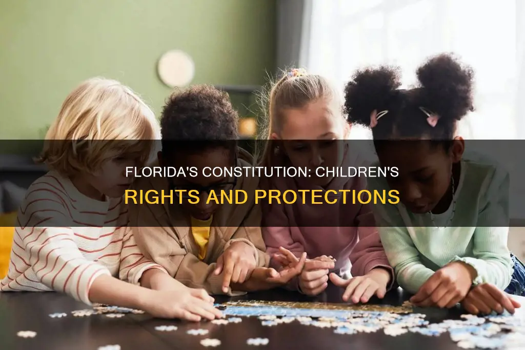 when is a child life in florida constitution