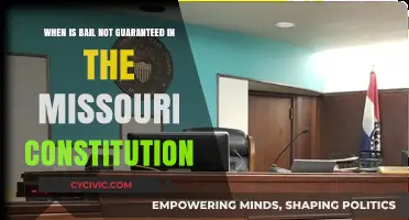 Bail Denial: Missouri Constitution's Exceptions