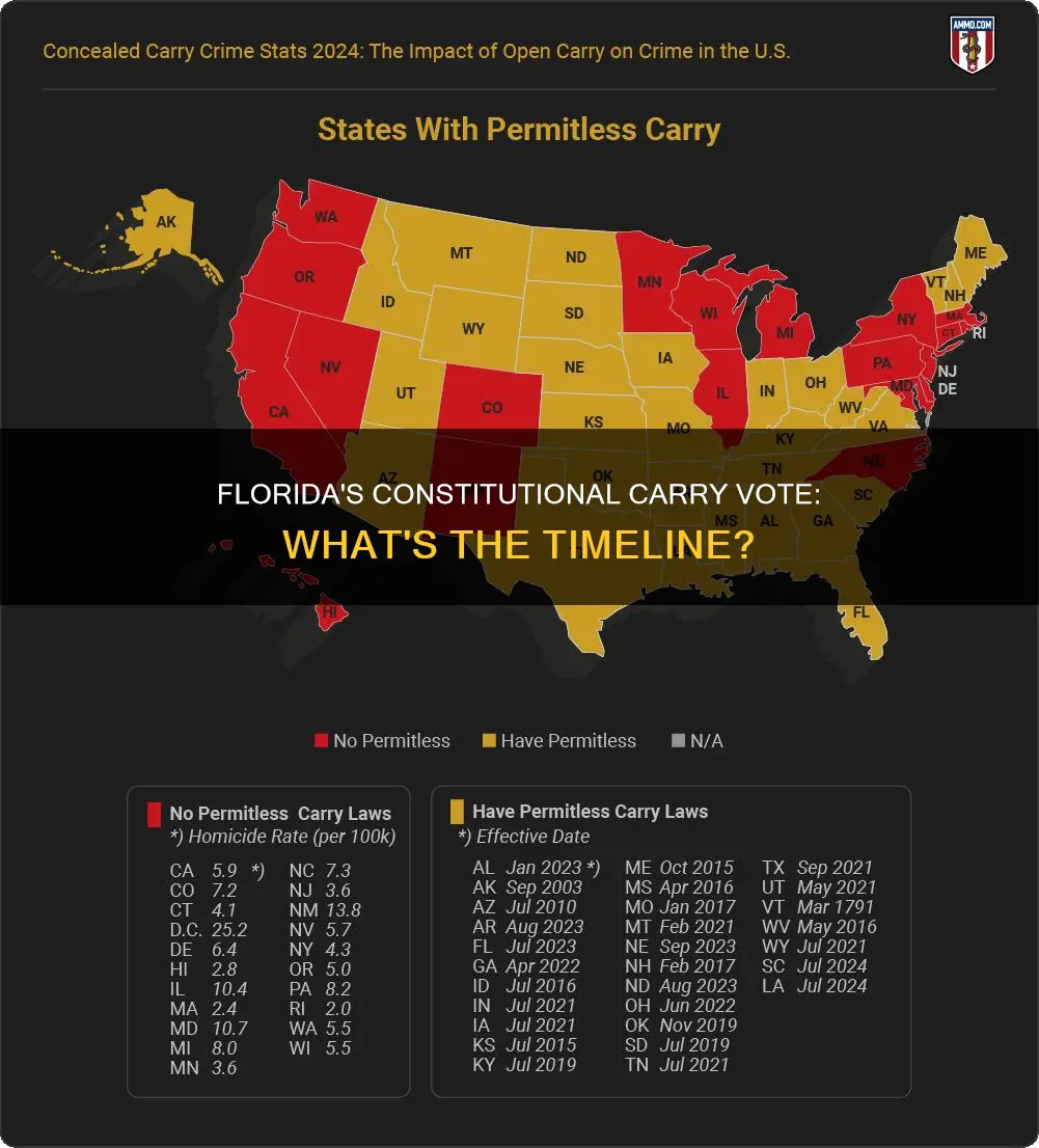 when is florida voting on constitutional carry