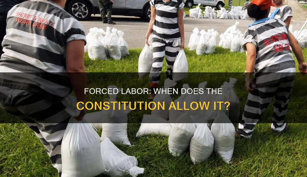 when is forced labor allowed by the constitution