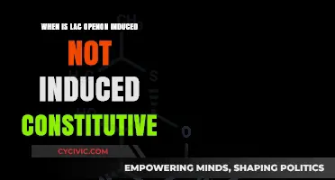 LAC Operon: Induced, Constitutive, and Repressed States