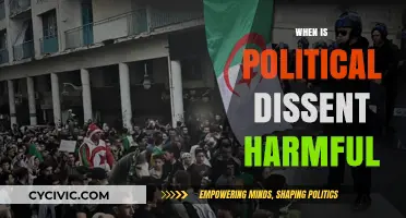 When Political Dissent Turns Destructive: Balancing Protest and Progress