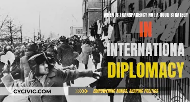 Transparency's Limits: Diplomacy's Veiled Strategies