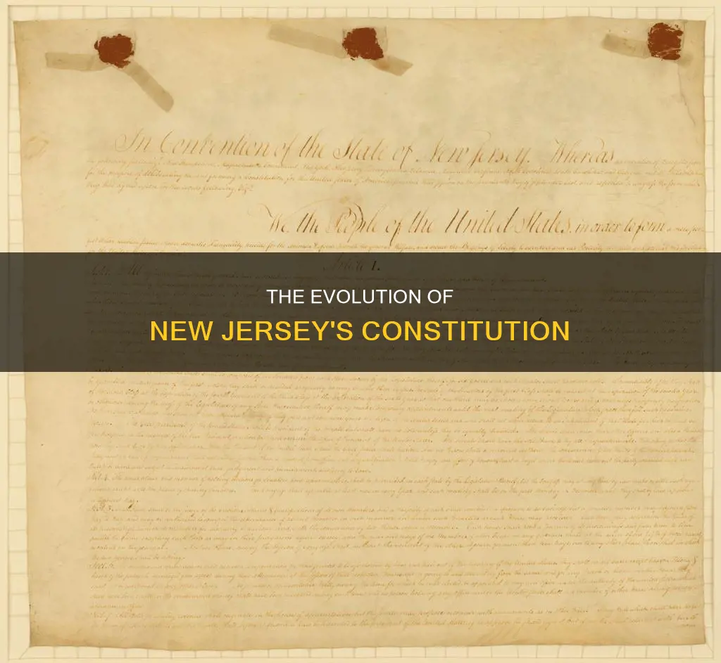 when nj constitution ratified